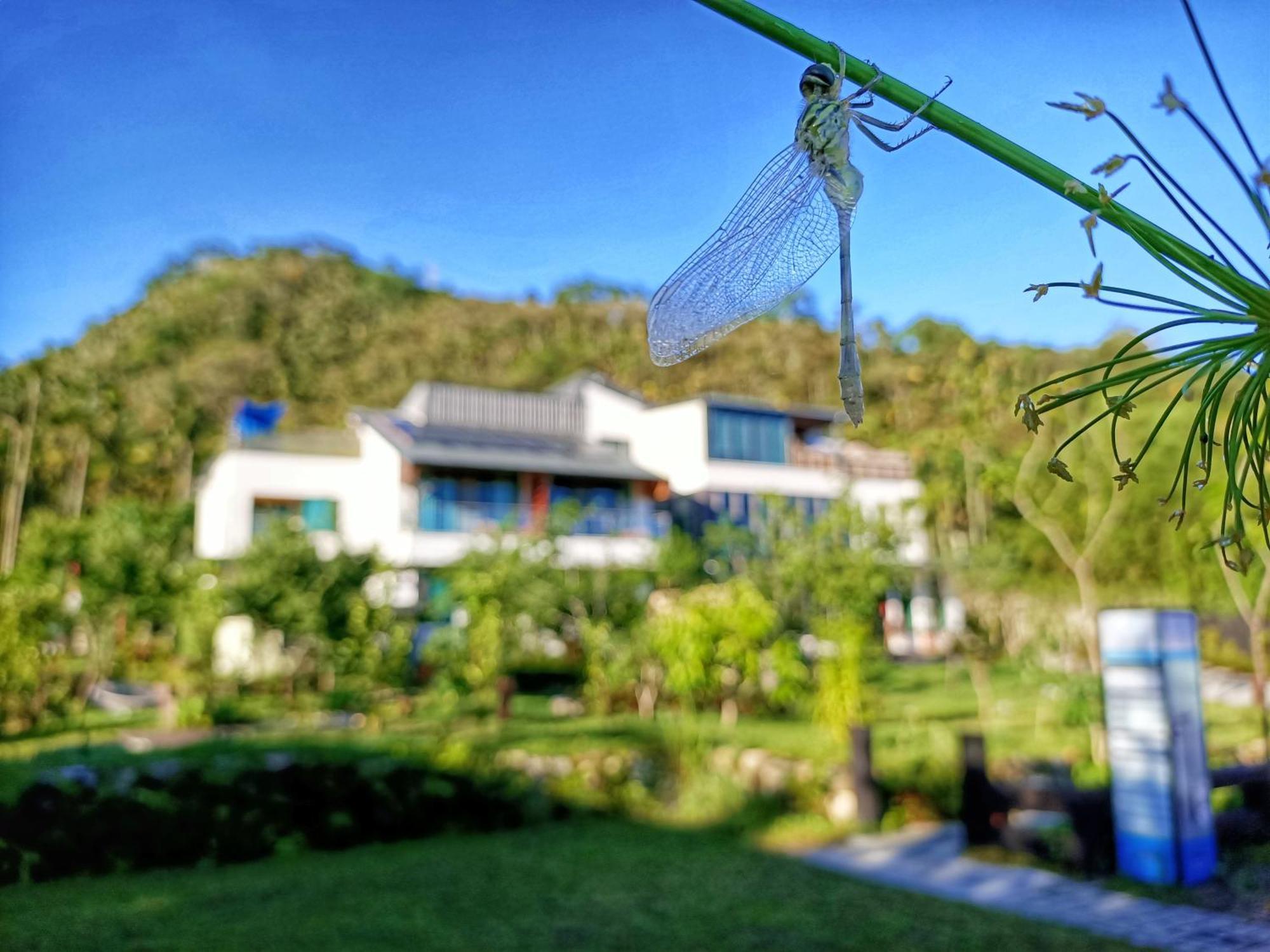 Roaming Cloud Sun Moon Lake B&B Yuchi Buitenkant foto