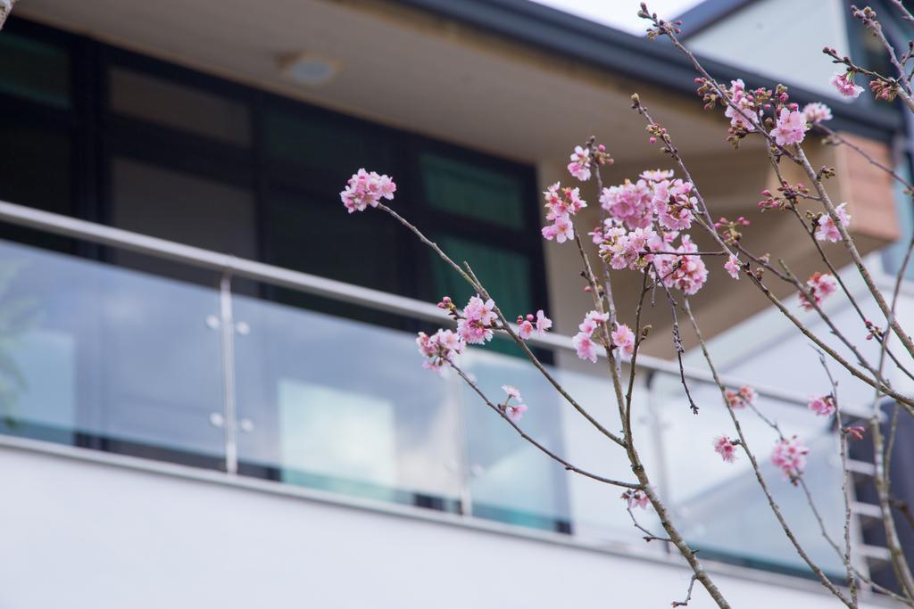Roaming Cloud Sun Moon Lake B&B Yuchi Buitenkant foto